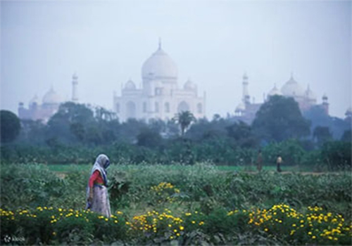 Overnight tour of agra